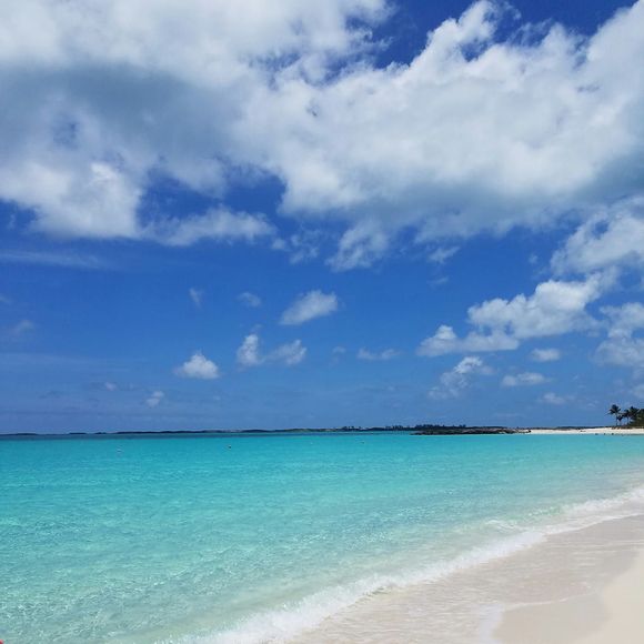 Meet your Posher, Jose misael - Picture 1 of 1